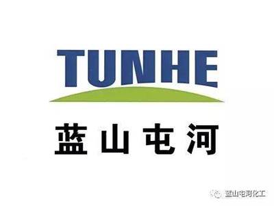 蓝山屯河聚酯公司荣获“自治区绿色工厂”称号，推动绿色可持续发展